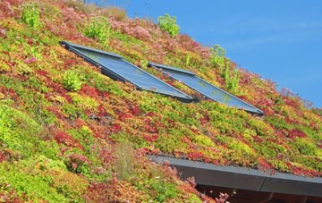 Catford living roof systems